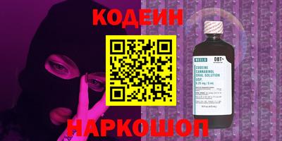 СК Пугачёв