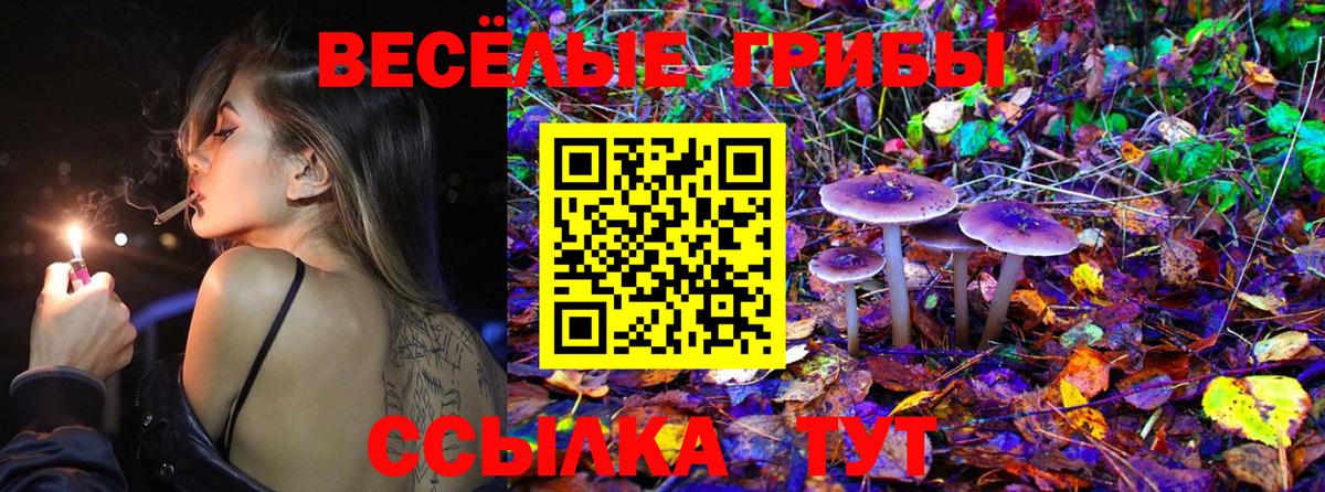 Серов  Галлюциногенные грибы мицелий  Вход с VPN 