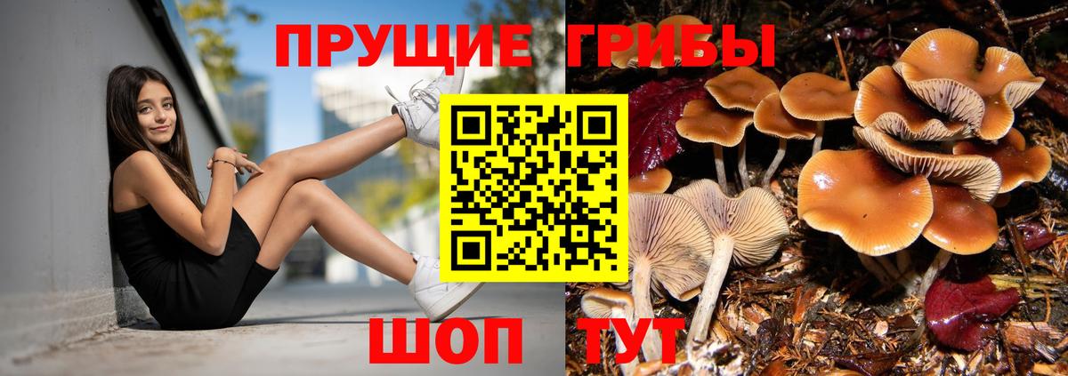 Псилоцибиновые грибы ЛСД Серов